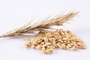 Wheat is not gluten-free