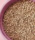 Pulses: Health Benefits